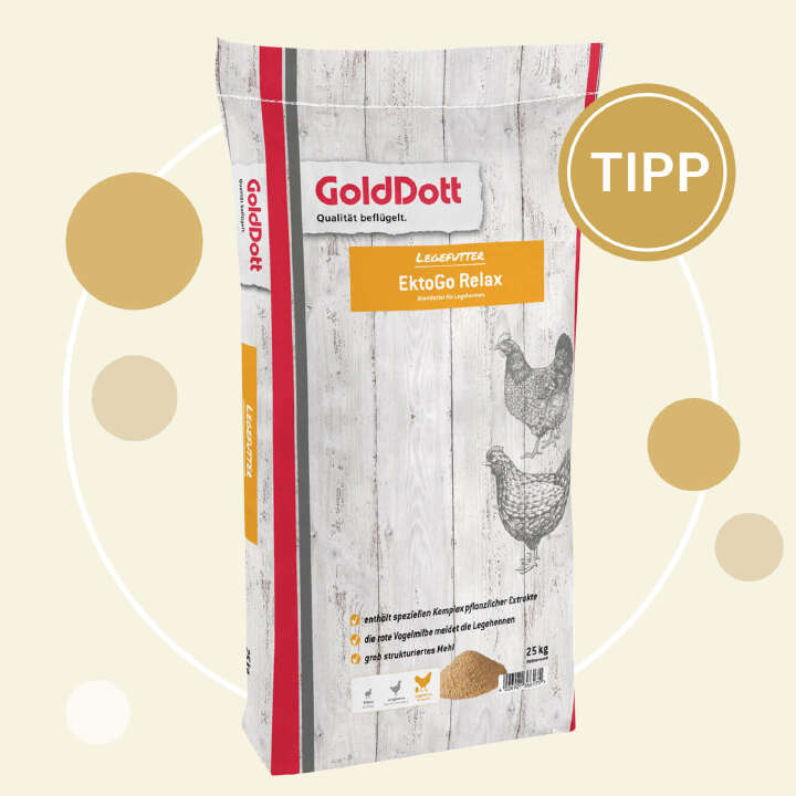 produkttipp abbildung golddott ektogorelax (1)